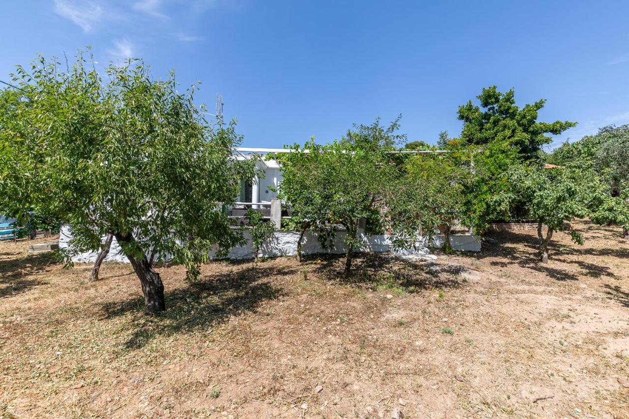 Skopelos Amigdalia Cottage Exterior photo